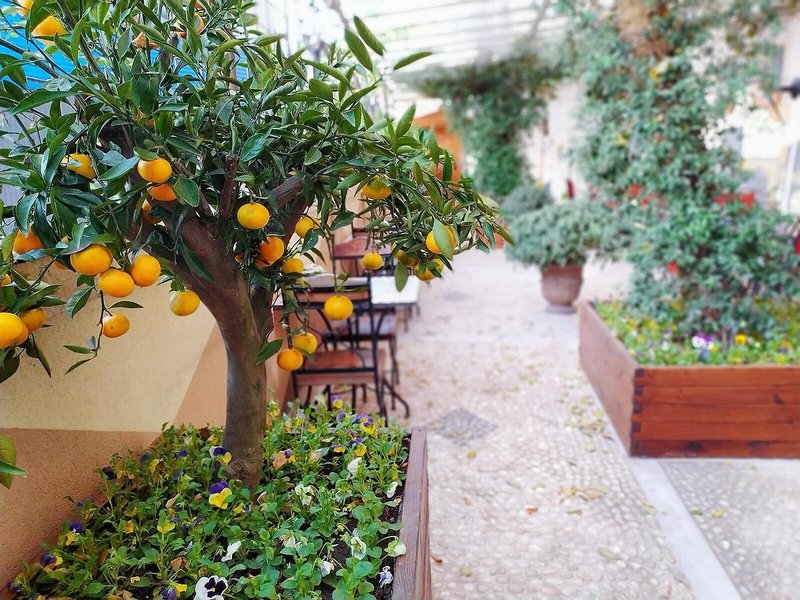 Antea Palace Hotel & Spa 29