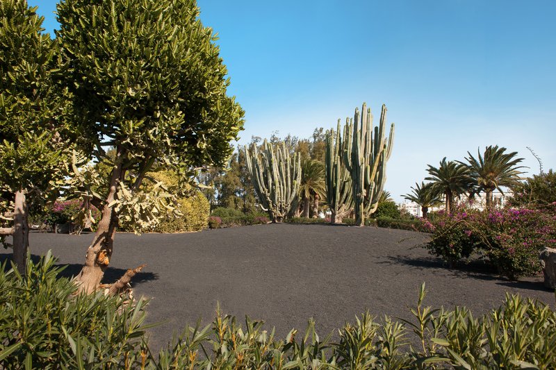 Hotel Relaxia Olivina 12