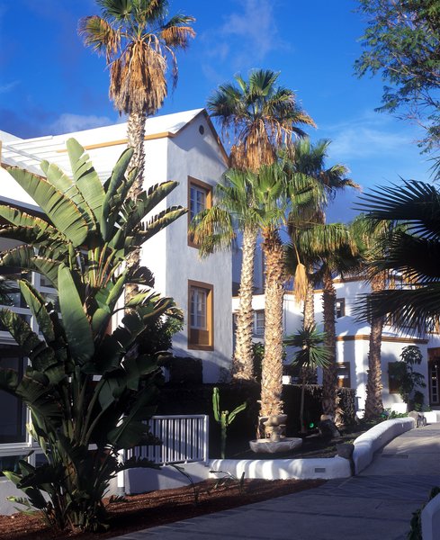 Apartamentos Morromar THe Home Collection 5