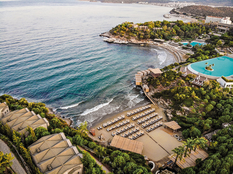 Club Marvy by Paloma 1