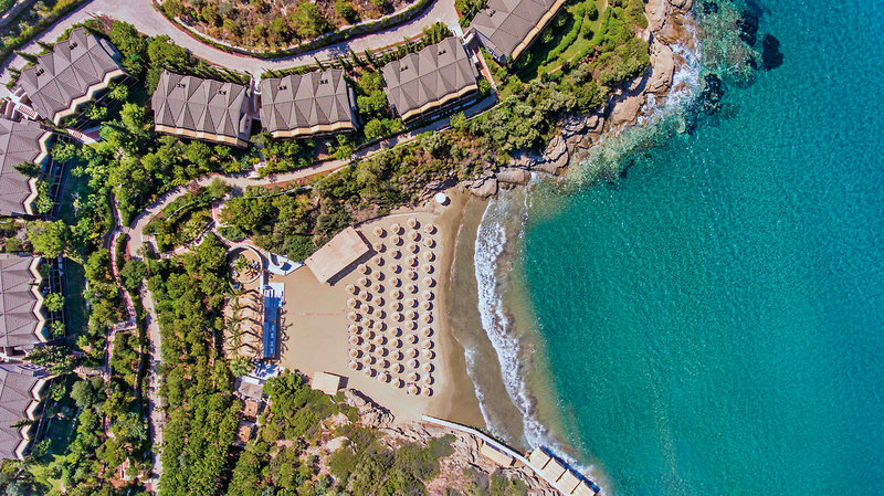 Club Marvy by Paloma 15