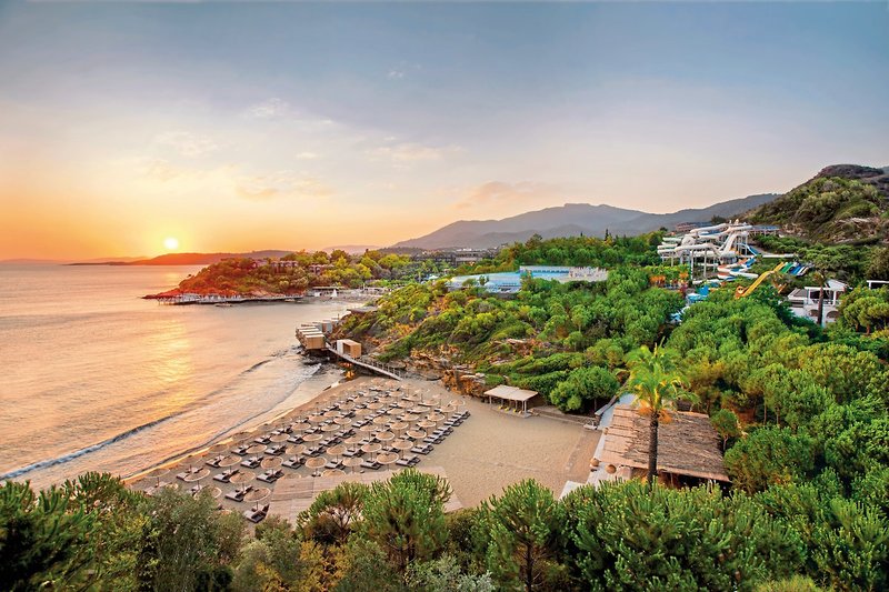 Club Marvy by Paloma 17