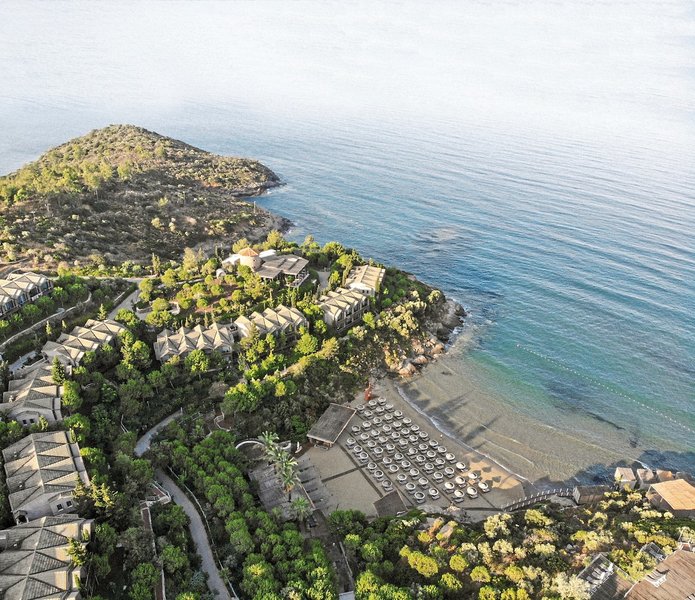 Club Marvy by Paloma 25