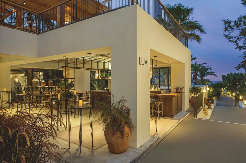 Club Marvy by Paloma 2