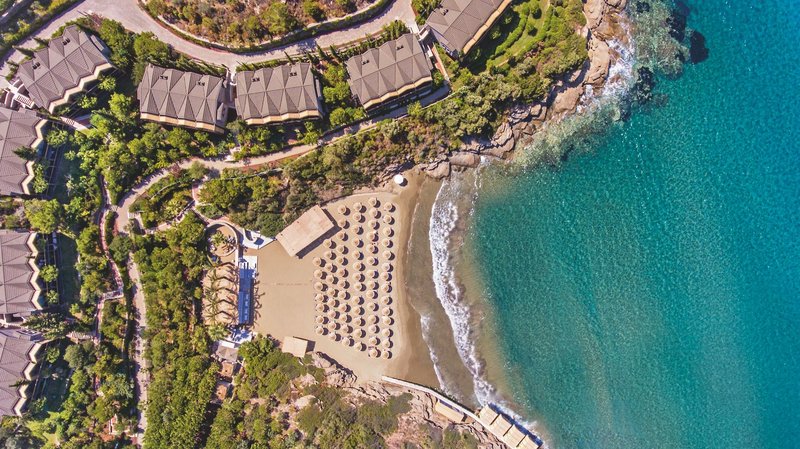 Club Marvy by Paloma 9