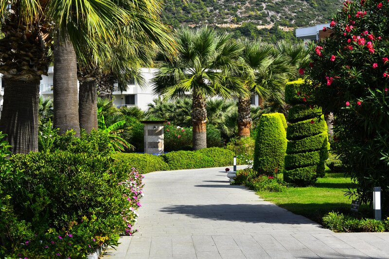Palm Wings Hotels & Resorts Ephesus 127