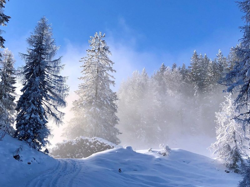 Landhotel Schütterbad 6