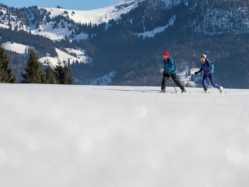 Landhotel Schütterbad 16