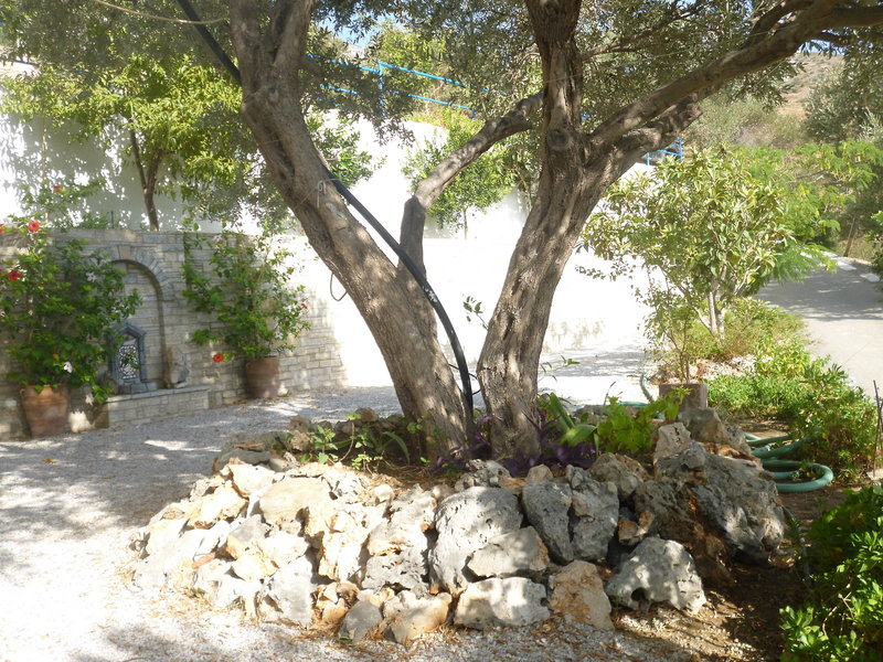 Villa Jota 1