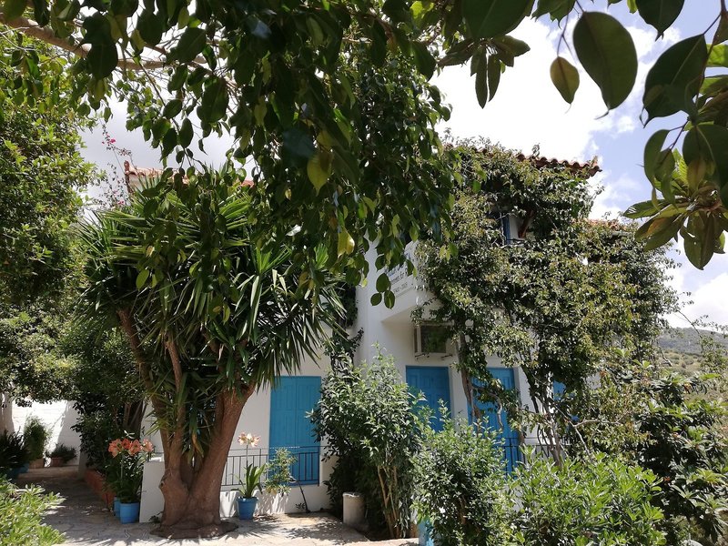 Villa Jota 4