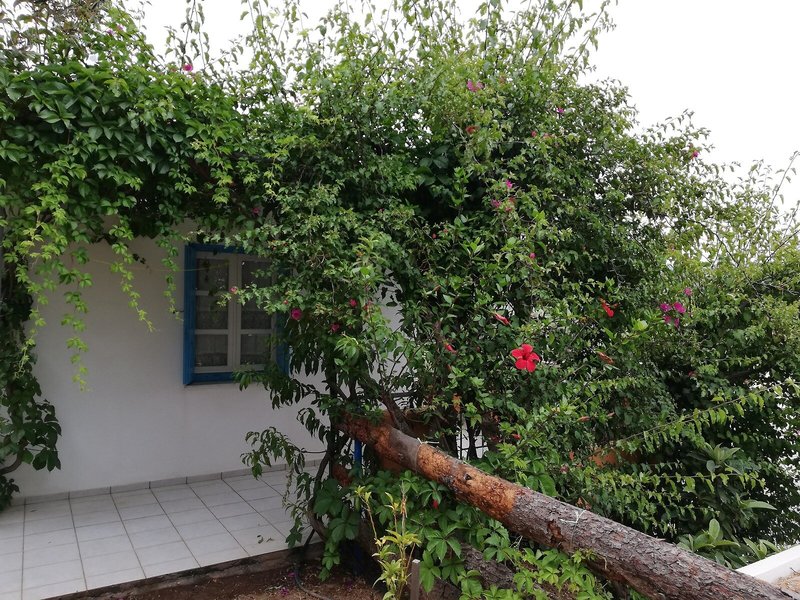 Villa Jota 12