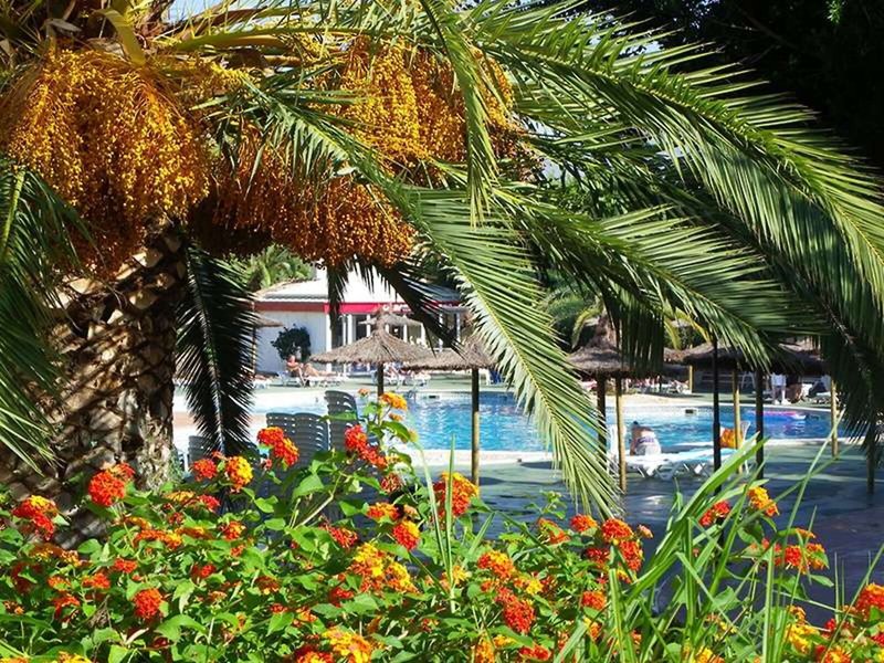 Albir Garden Resort & Park 10