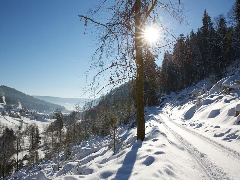 Hotel Traube Tonbach 7