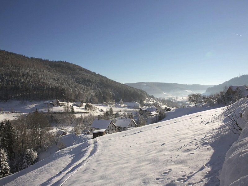 Hotel Traube Tonbach 8