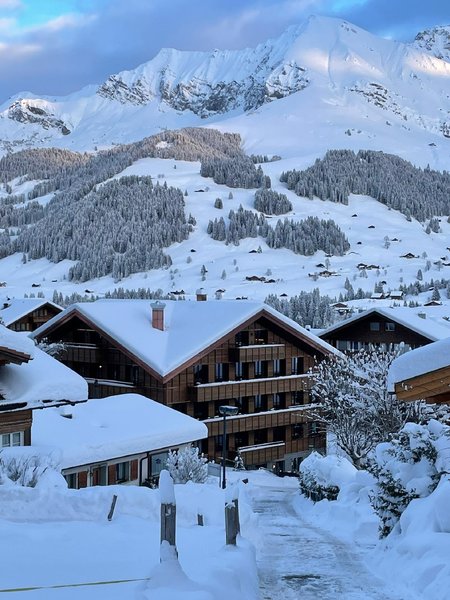 Apart Hotel Adelboden am Dorfplatz 5 - Exterior
