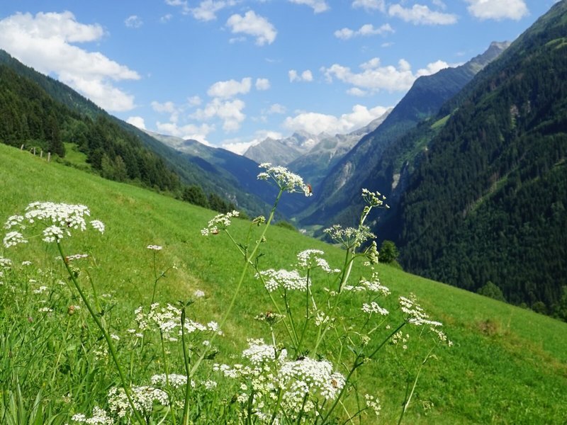 Neue Post Mayrhofen 7