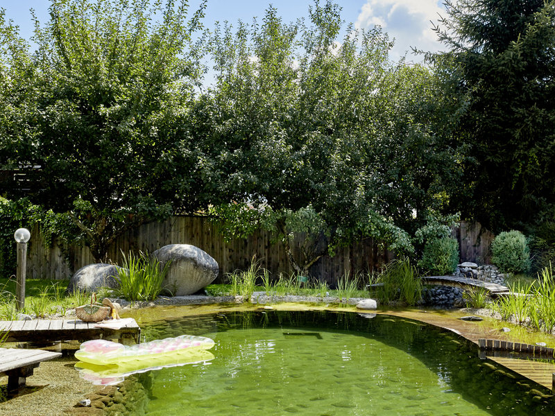 Steiger Neukirchen 8