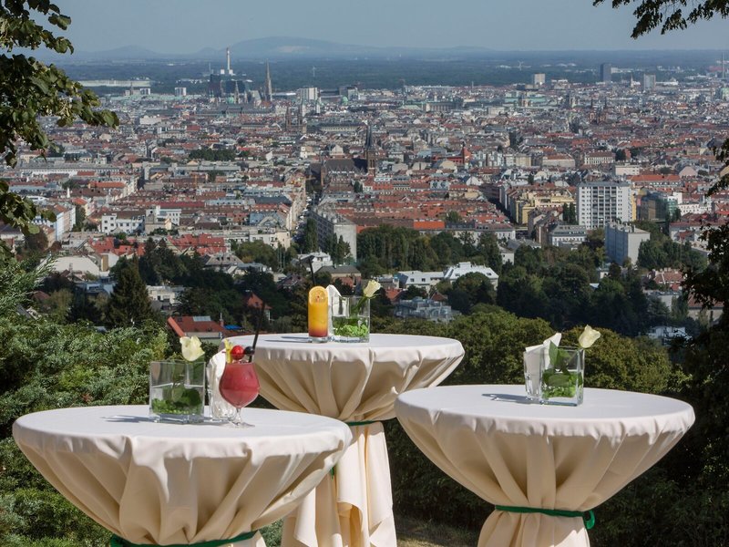Austria Trend Hotel Schloss Wilhelminenberg 12