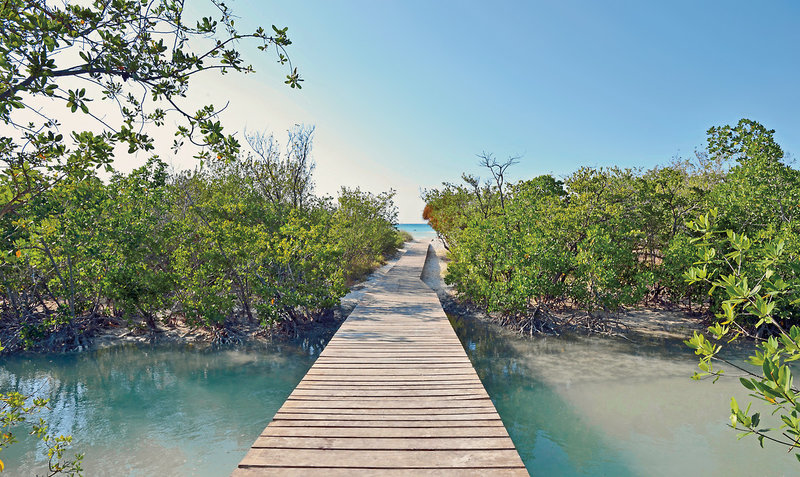 Sol Cayo Coco 9 - Landscape