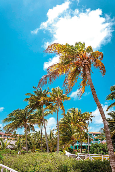 Iberostar Daiquiri 5