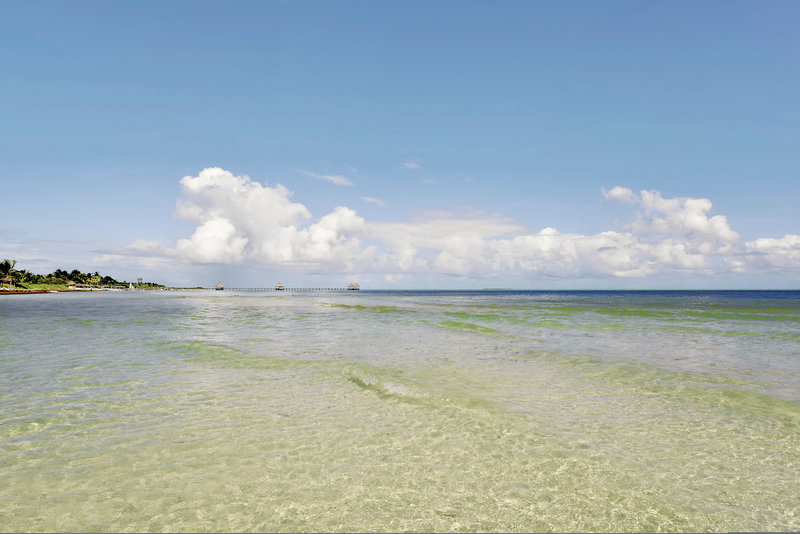 Iberostar Daiquiri 7