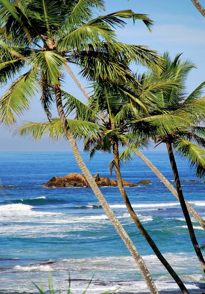 Jetwing Lighthouse 10