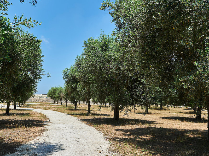 Relais Masseria Le Cesine 10