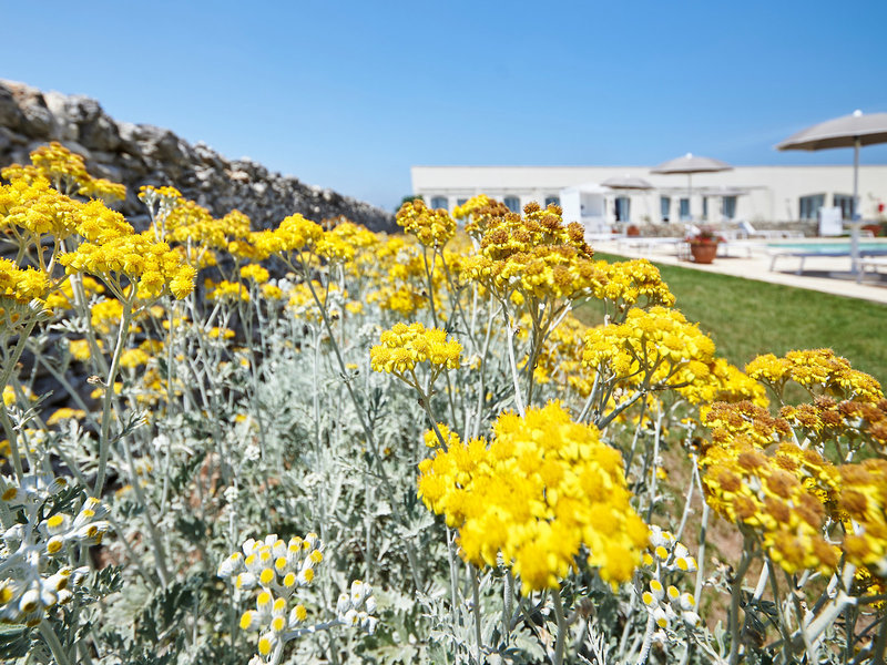 Relais Masseria Le Cesine 12