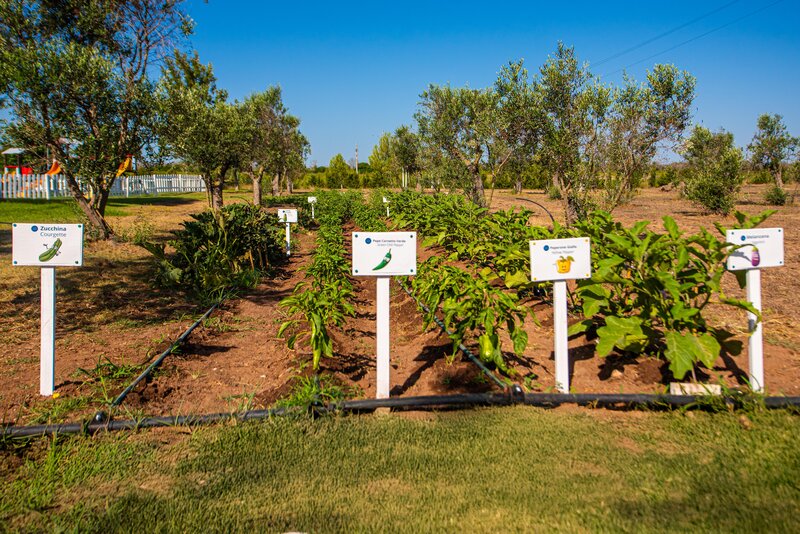 Relais Masseria Le Cesine 23