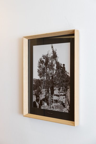 Evora Olive Hotel 34