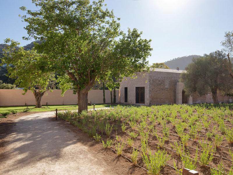 Pleta de Mar Luxuruy Hotel by Nature 24