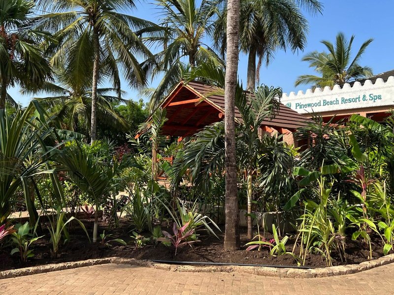 Pinewood Beach Resort & Spa 8