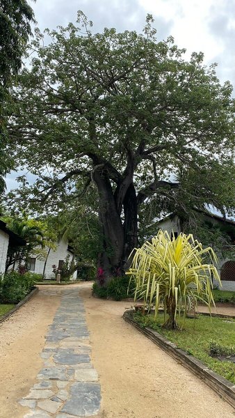 Pinewood Beach Resort & Spa 11