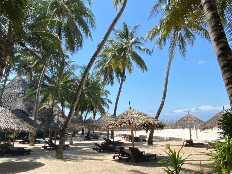 Pinewood Beach Resort & Spa 12
