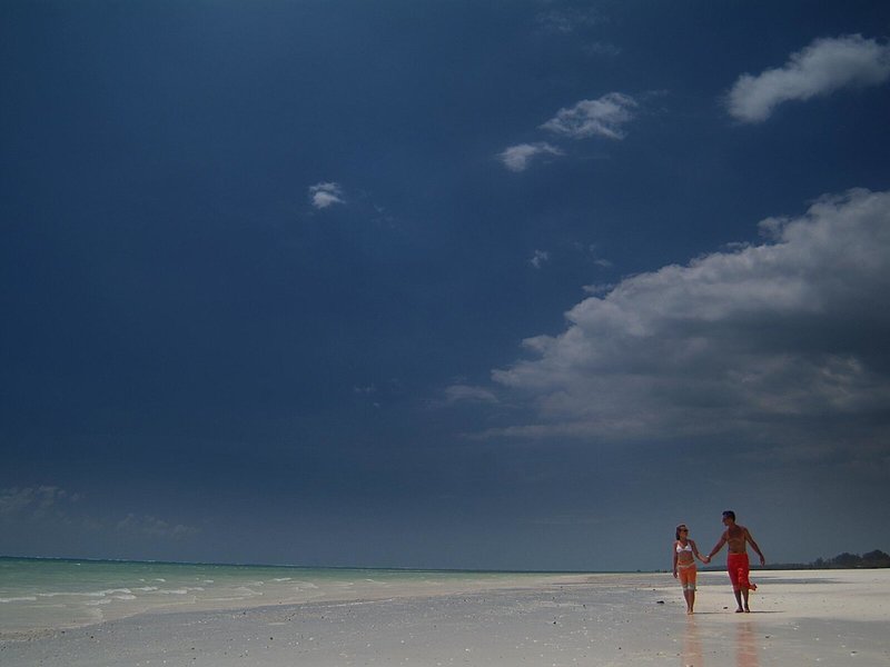 Pinewood Beach Resort & Spa 17