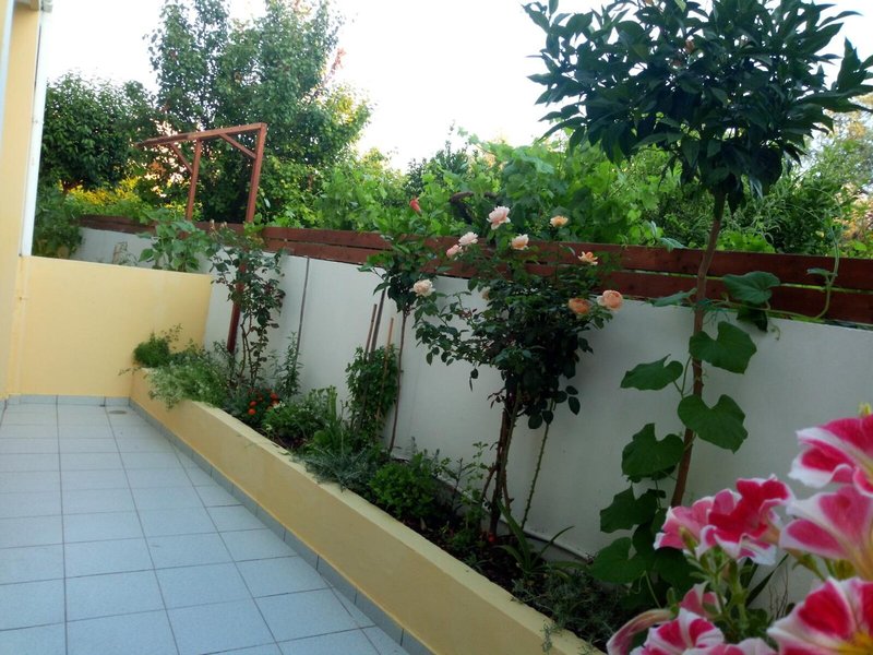 Pantheon Deluxe Apartments 6