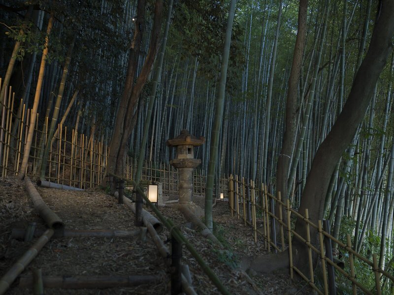 Banyan Tree Higashiyama Kyoto 5