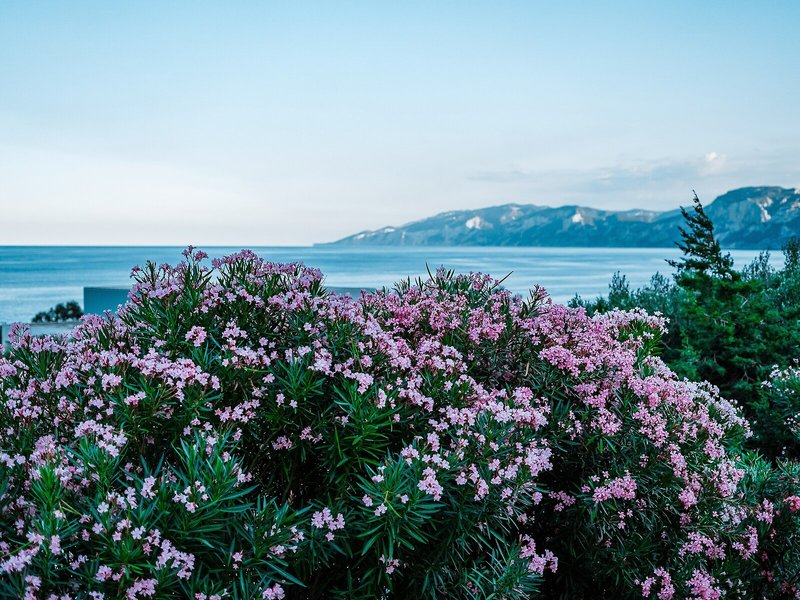 Hotel i Ginepri 7