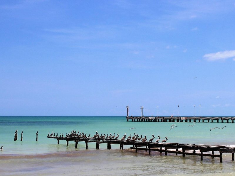 Cabañas El Cuyo 3