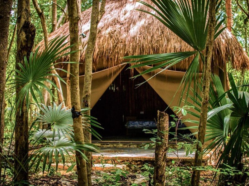 Akumal Natura Glamping 2