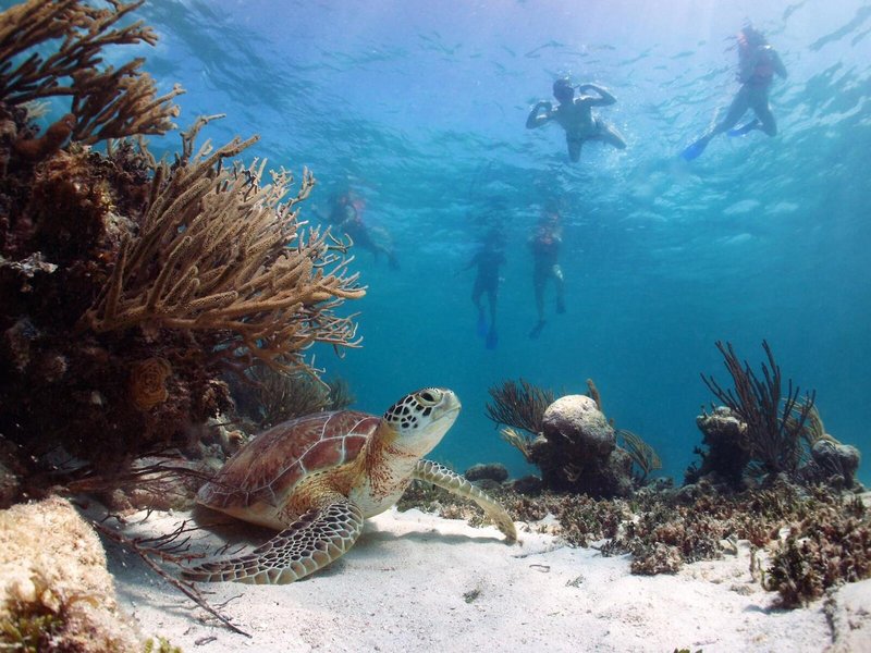 Akumal Natura Glamping 27