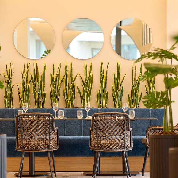 MarBella, Mar-Bella Collection 36