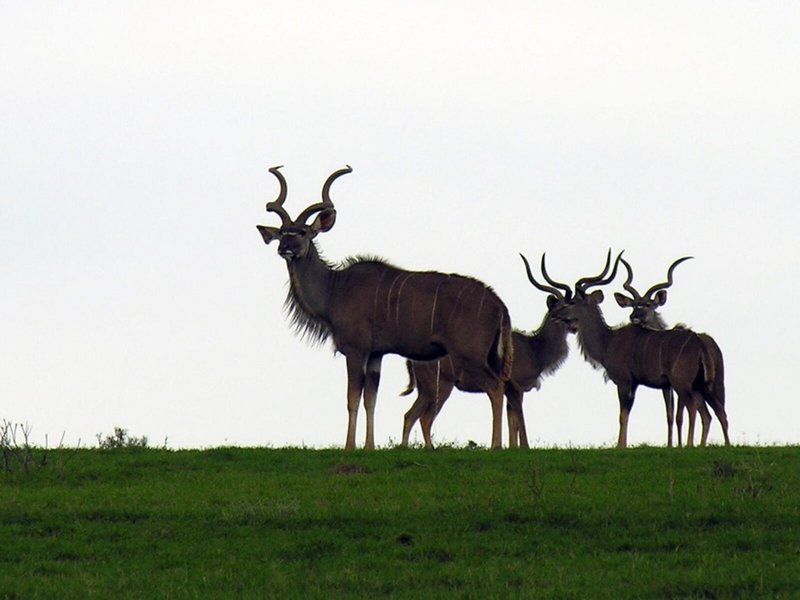 Woodall Country House 17