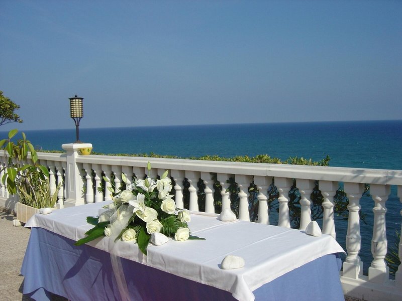 Masa International 8