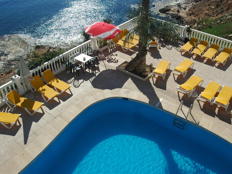 Masa International 11