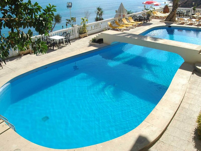 Masa International 19