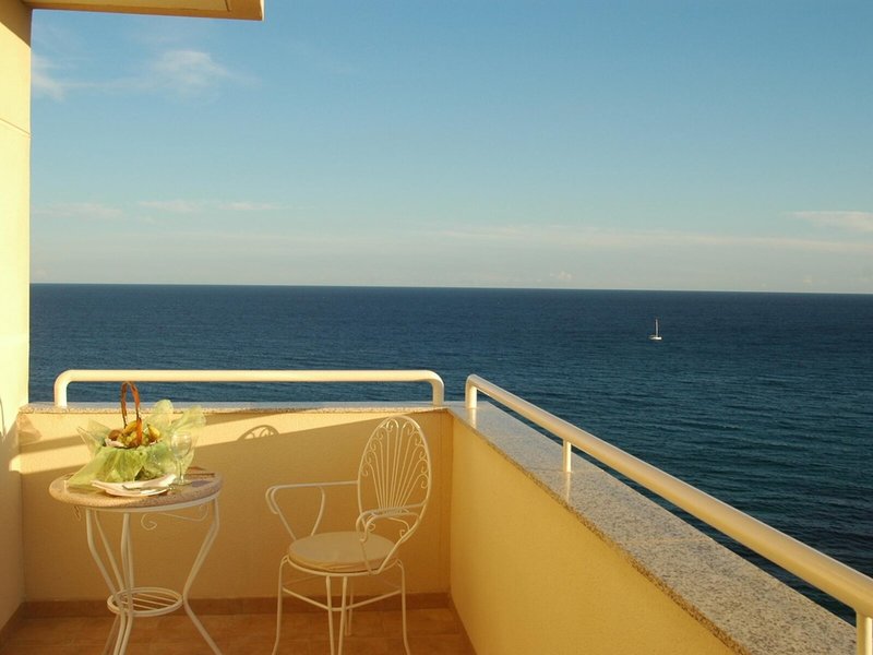 Masa International 26