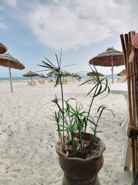 Zenon Hotel Djerba 2