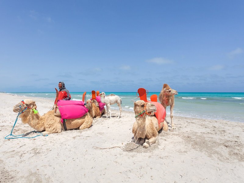 Cesar Thalasso - Erwachsenenhotel 5