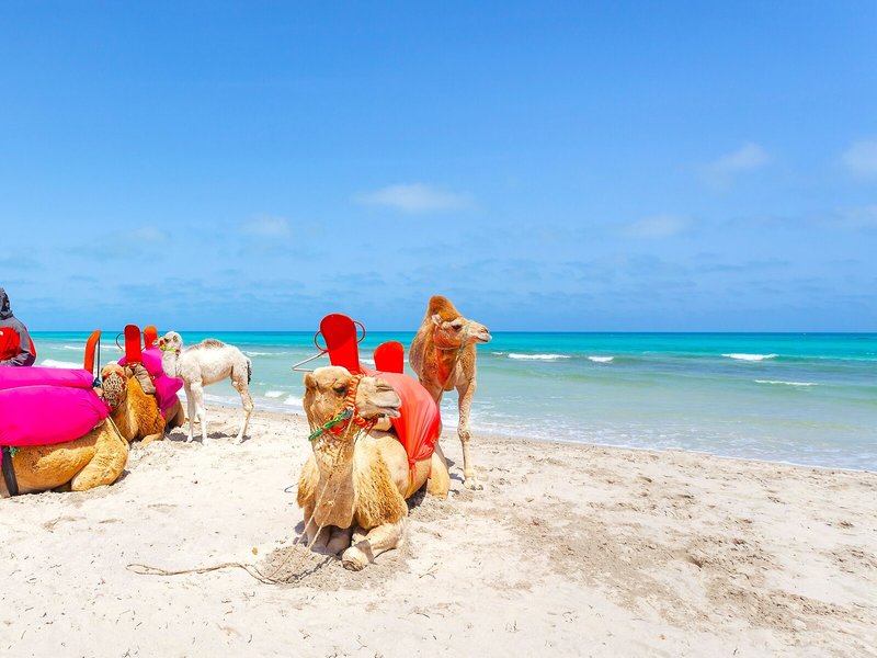 Cesar Thalasso - Erwachsenenhotel 10